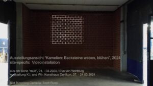 site specific Videoinstallation, Kunsthaus Oerlikon, 2024