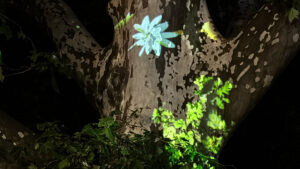 site-specific Videoinstallation, Loop, 3&#039;25&#039;&#039;